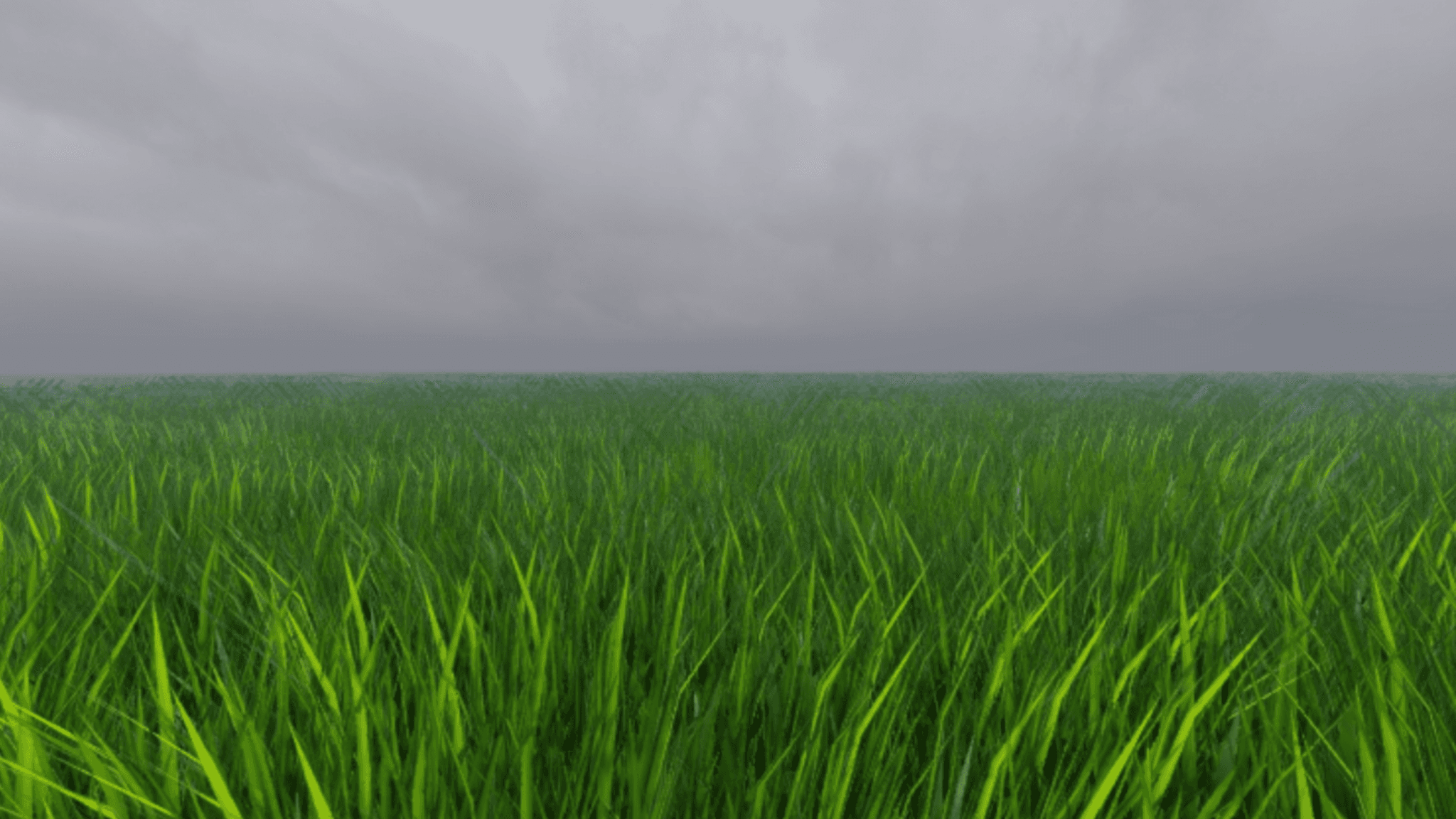 Interactive Grass 🌿 — image 1