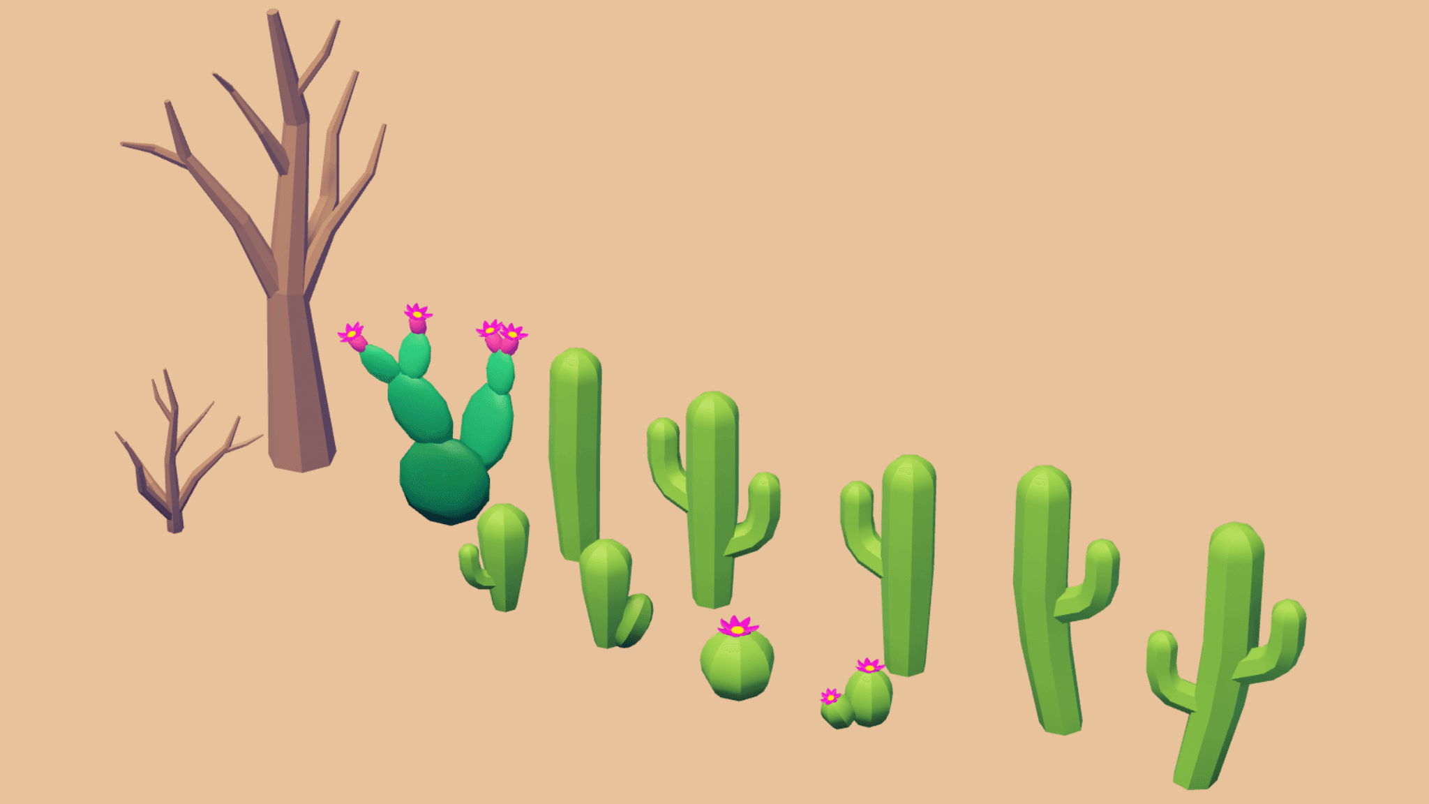 Desert Pack 🌵 — image 1