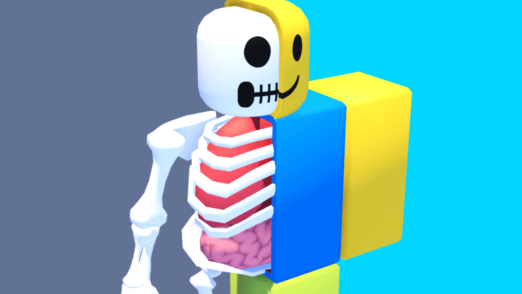 Noob Anatomy ๐ โ image 1