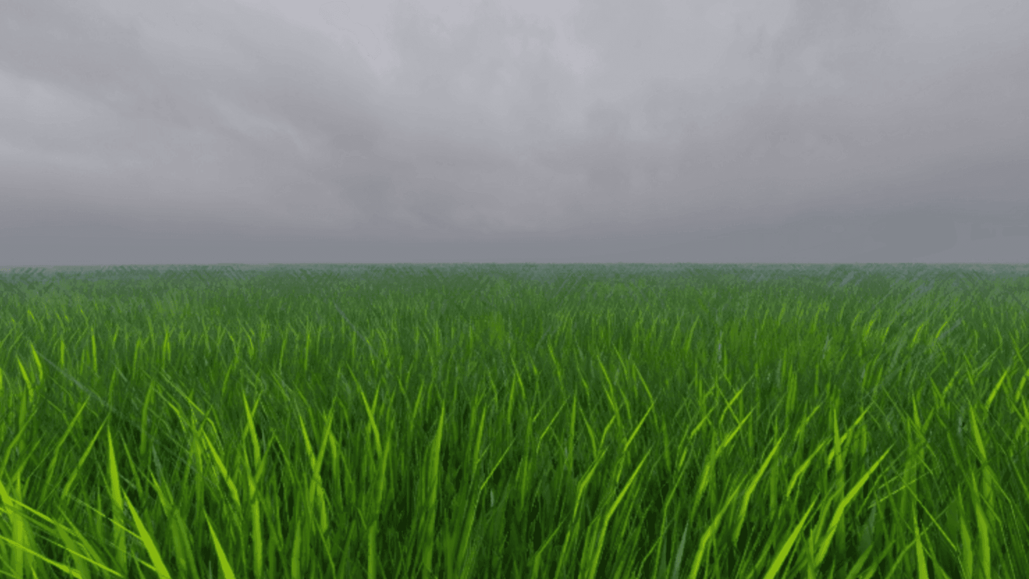 Interactive Grass 🌿 — image 1
